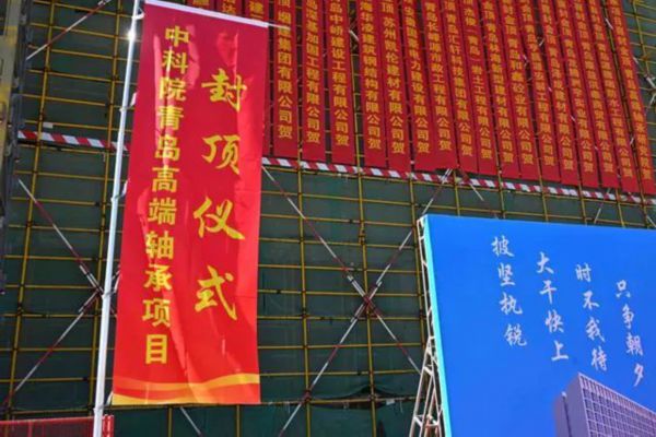 山东nsk轴承(204)