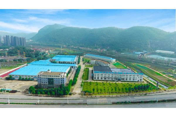浙江天马集团轴承(天马轴承集团股份有限公司2021年第一季度报告正文)