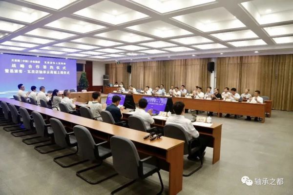 球面滚子轴承(2024年密封式球面滚子轴承行业预测及潜在机会分析)