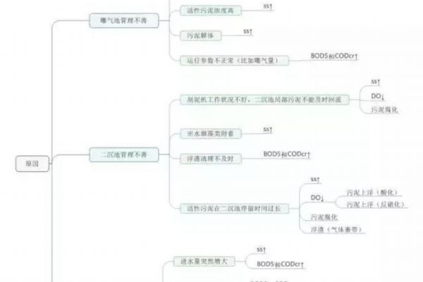 超纯水制备流程