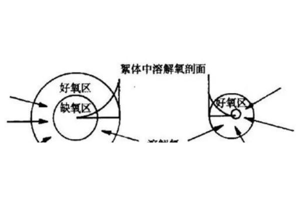 去离子水设备品牌厂家哪家靠谱？专业品牌制造(去离子水设备品牌生产公司有哪些-质量可靠)