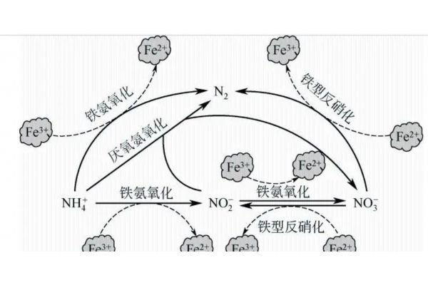去离子水设备多少钱一套？全面解析价格影响因素(去离子水设备多少钱一套？全面解析市场价格与选择指南)