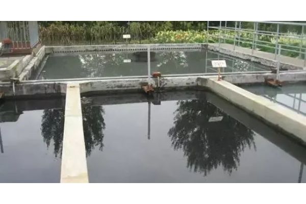 工业去离子水设备的性能特点及应用范围(工业去离子水设备被广泛应用的原因有哪些？)
