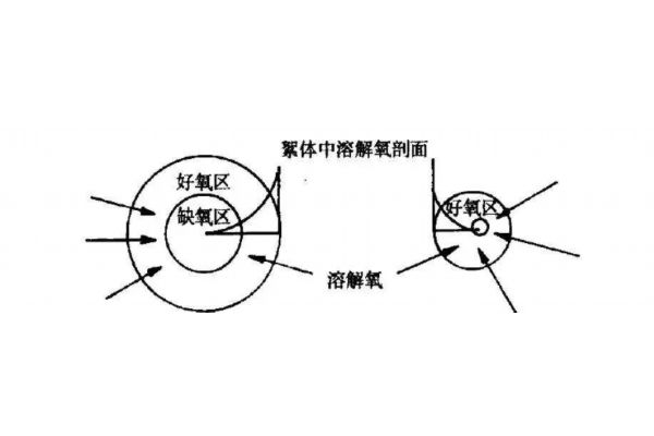 984-2011聚合物水泥防水砂浆（双组份聚合物水泥防水砂浆）