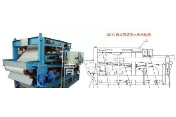 aqy1（170.c-起草）