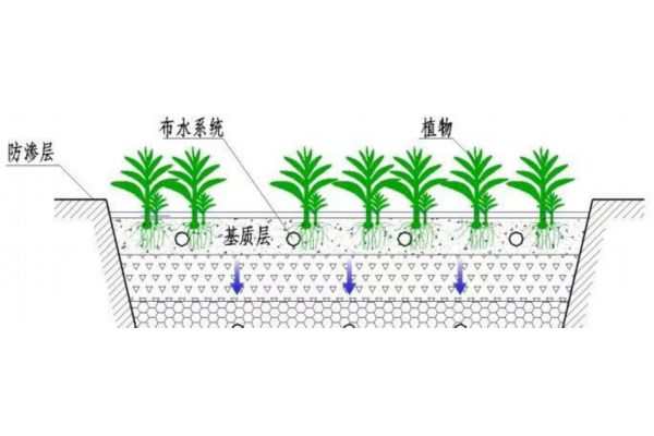 fc35（fcw11）