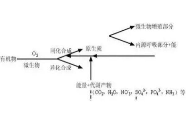 fdsfsd（fdg是什么）