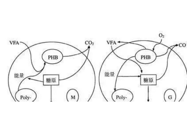 hy7（h7m3cc网页登录入口）