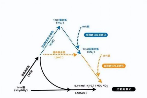 pap20（pap20是什么意思）