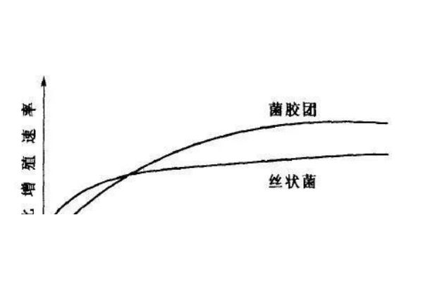 psl1l245是什么材质（l360n是什么材质）